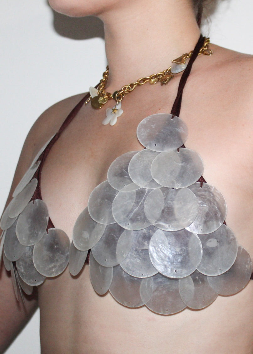 Shell Swim