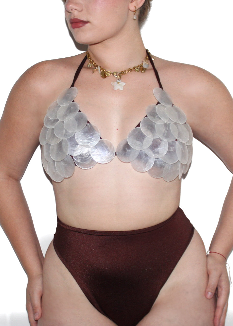 Shell Swim